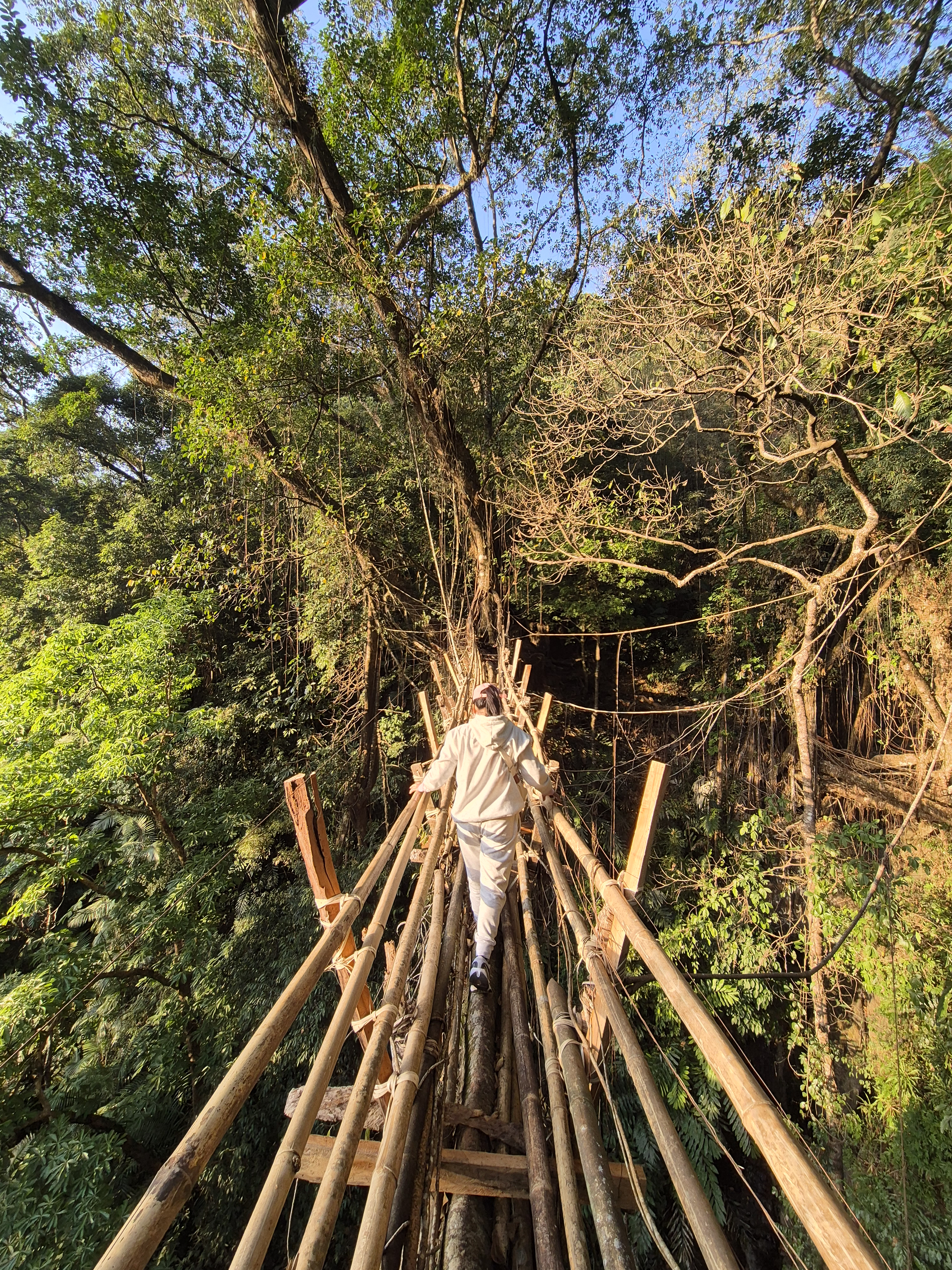 Living Root Bridge Tour thumbnail 1