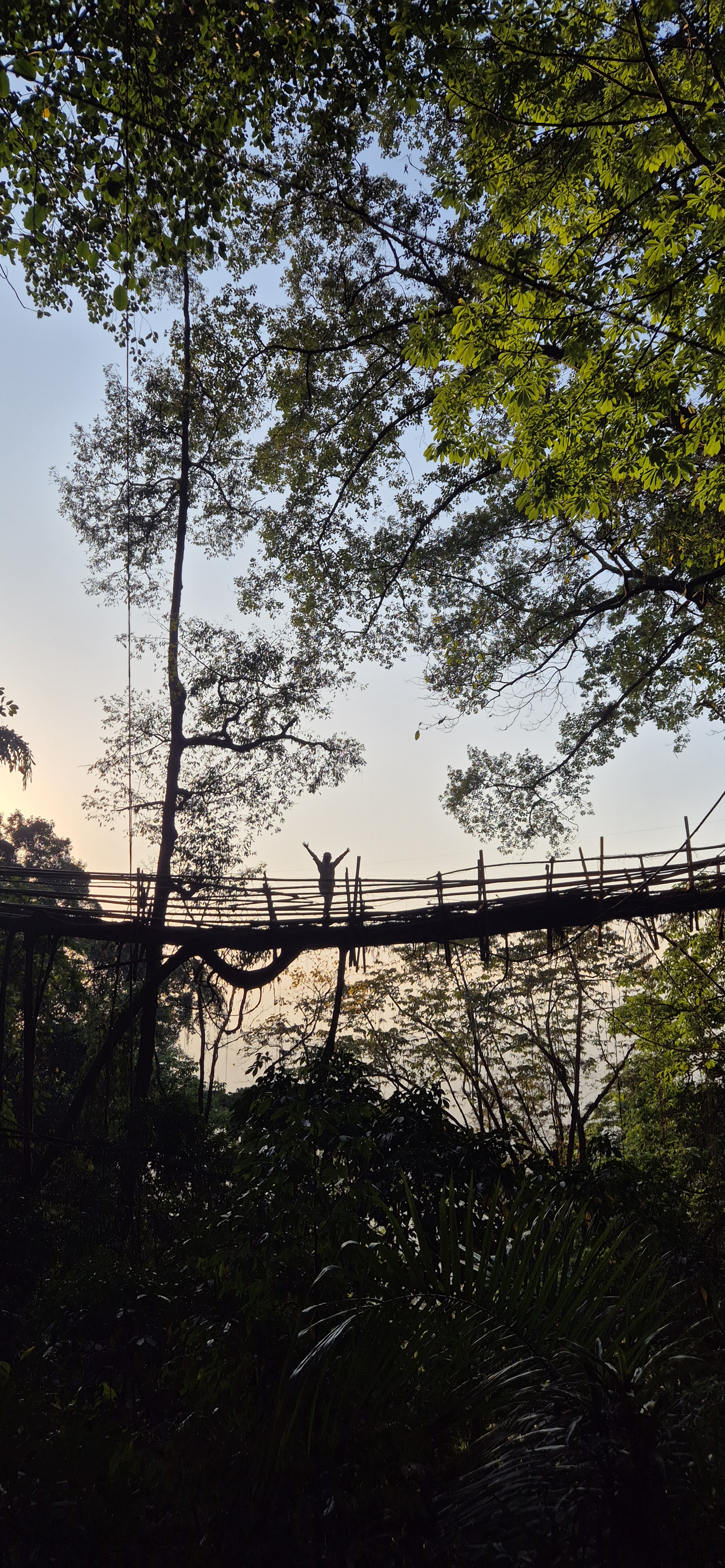 Living Root Bridge Tour thumbnail 3